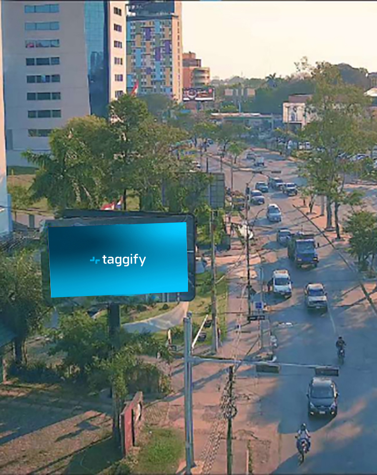 PY - Asuncion - Hortensias. Aviadores Del Chaco - Asunción